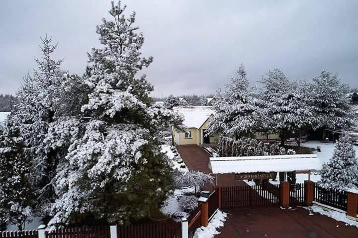 Agroturystyka Barycz 46 Konskie Dış mekan fotoğraf